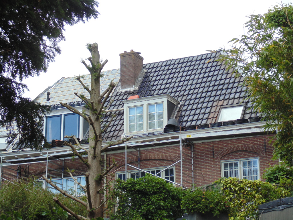 zonnepannen2